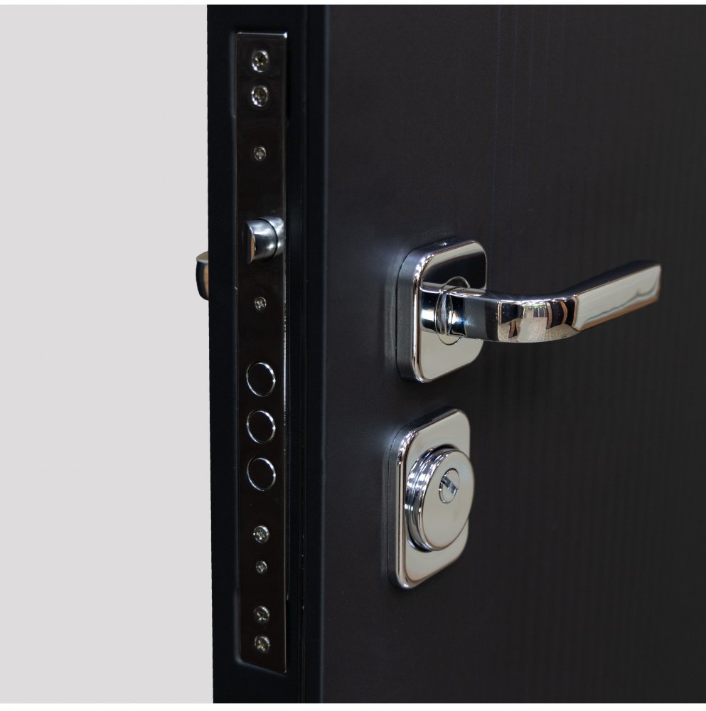 Товар Дверь Цербер SS-01 Только 96 DIS007136