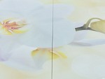 Стол «Ривьера» фотопечать Цветы-5, хром MD53818 фото