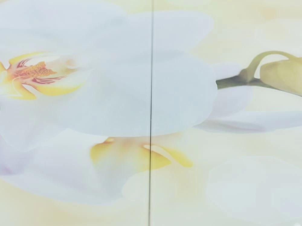 Товар Стол «Ривьера» фотопечать Цветы-5, хром MD53818